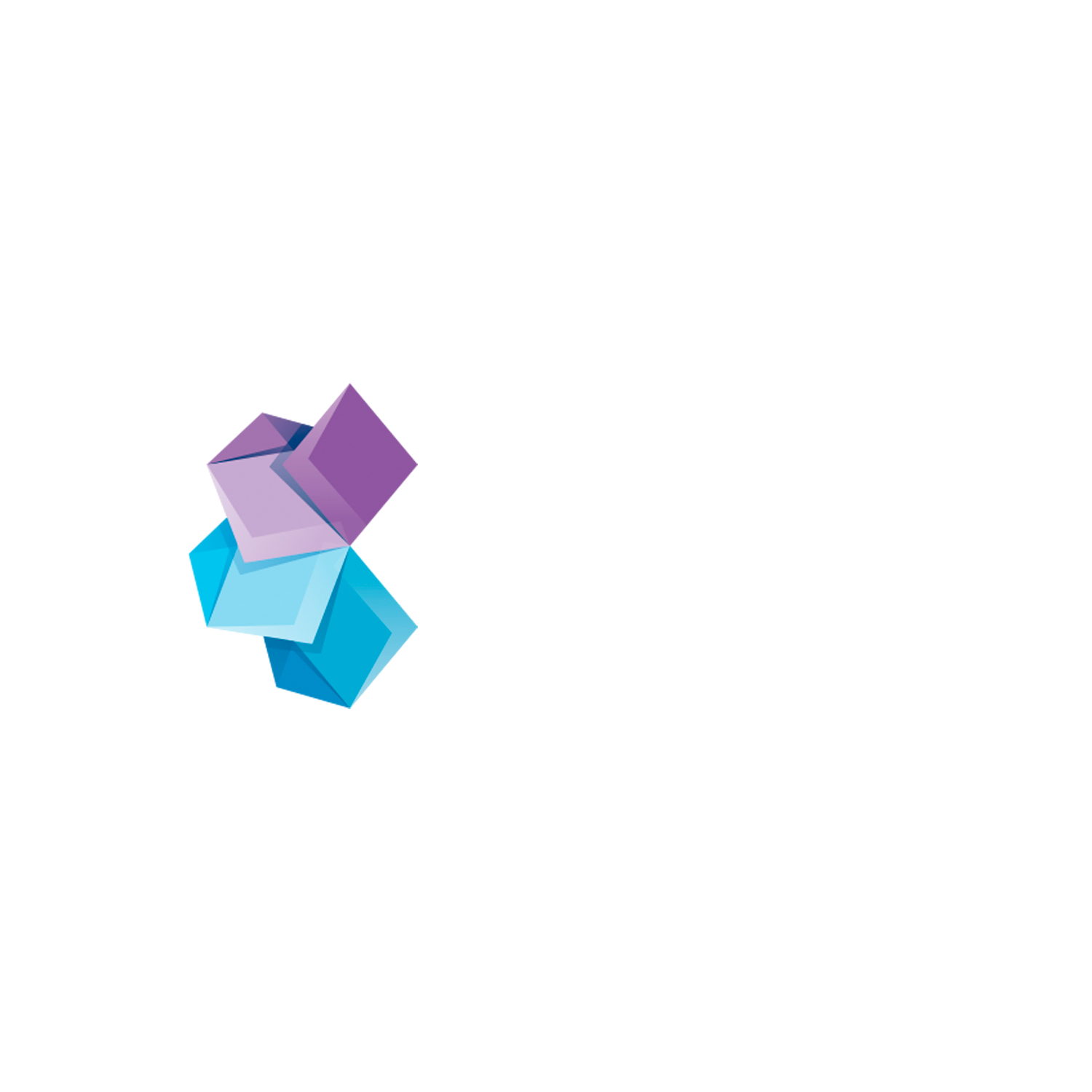 ROKIZ FORUM